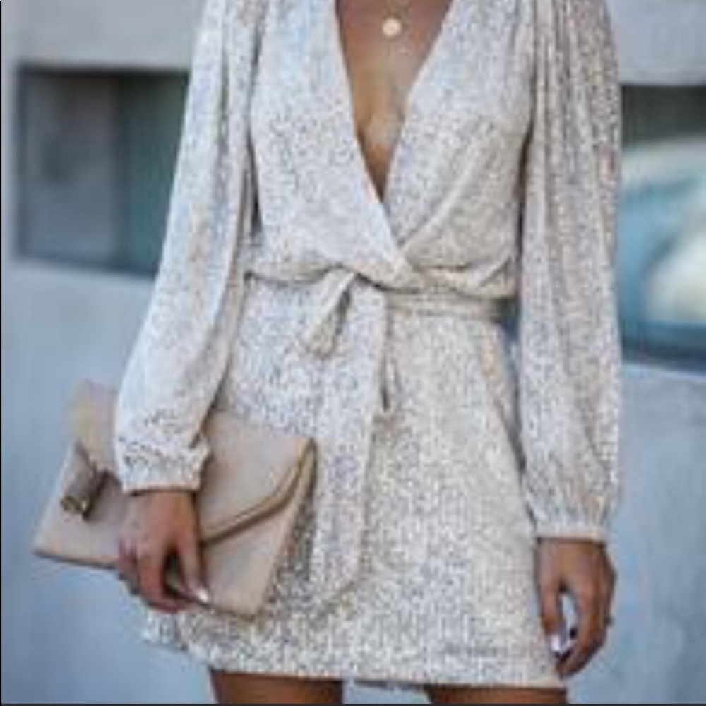 Like New Vici sequin tie dress